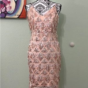 Rose Gold Sequin Fringe Mini Dress